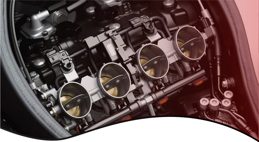 Fuel Injection Specialist